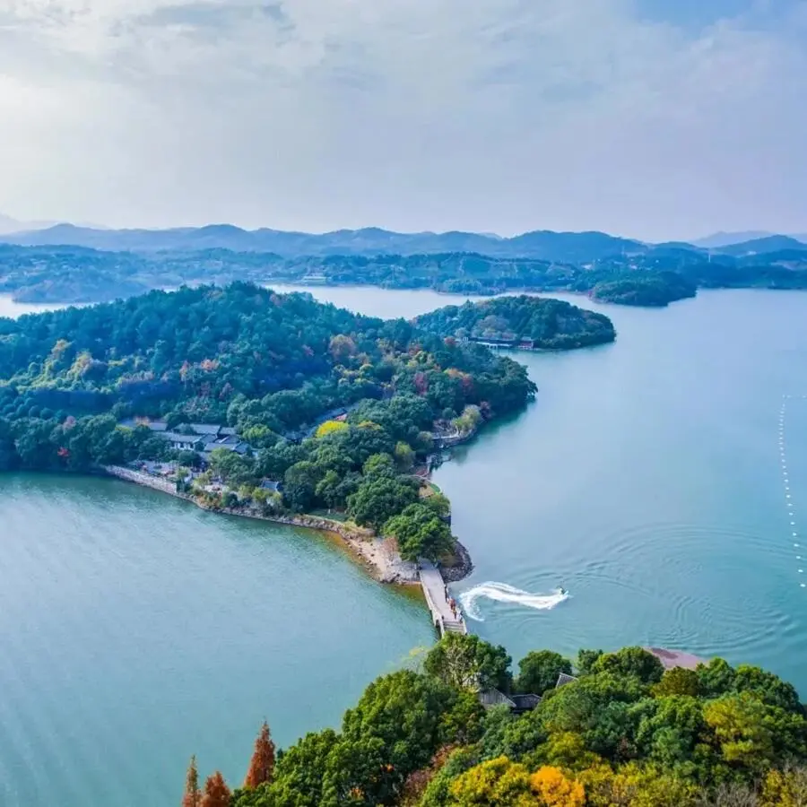 8d571efa0e0564b00a38c7436d1da023-sz_98130