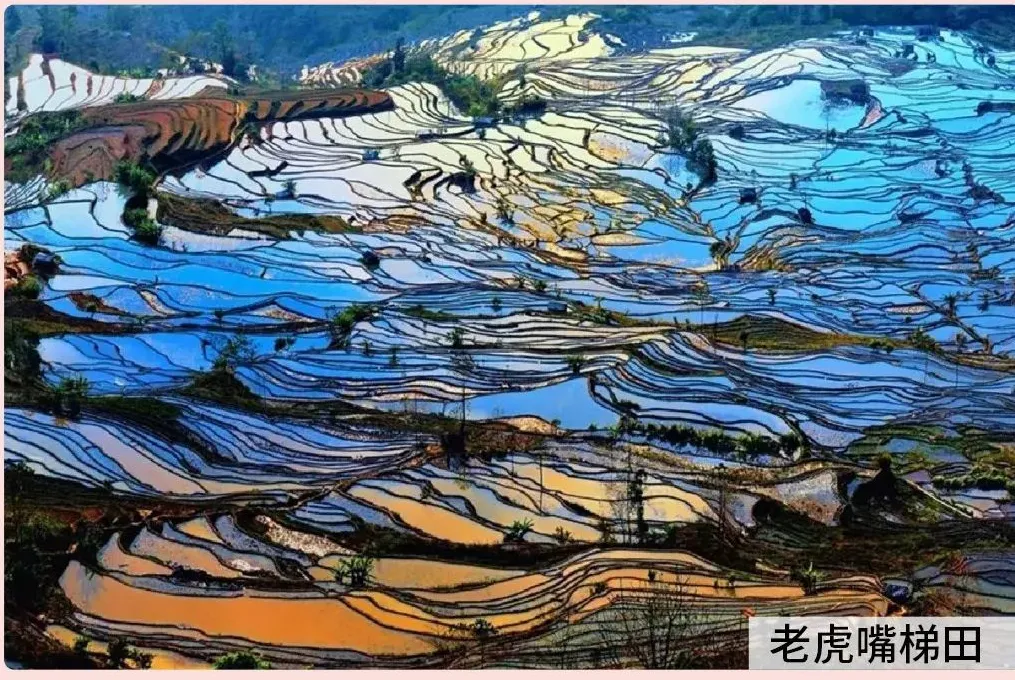 8d5b13dcc0278479b0e09e0600ec1271-sz_3066932 8d5b13dcc0278479b0e09e0600ec1271-sz_3066932