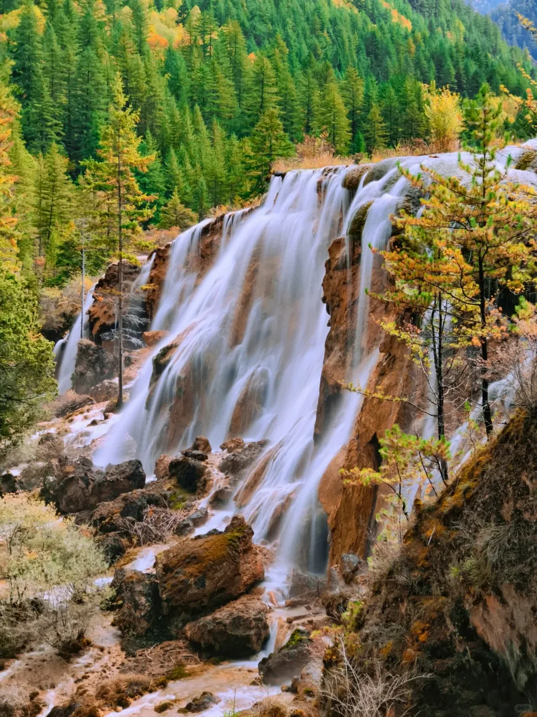 8d6f42e1b4af494014520e6d462764cc-sz_578440