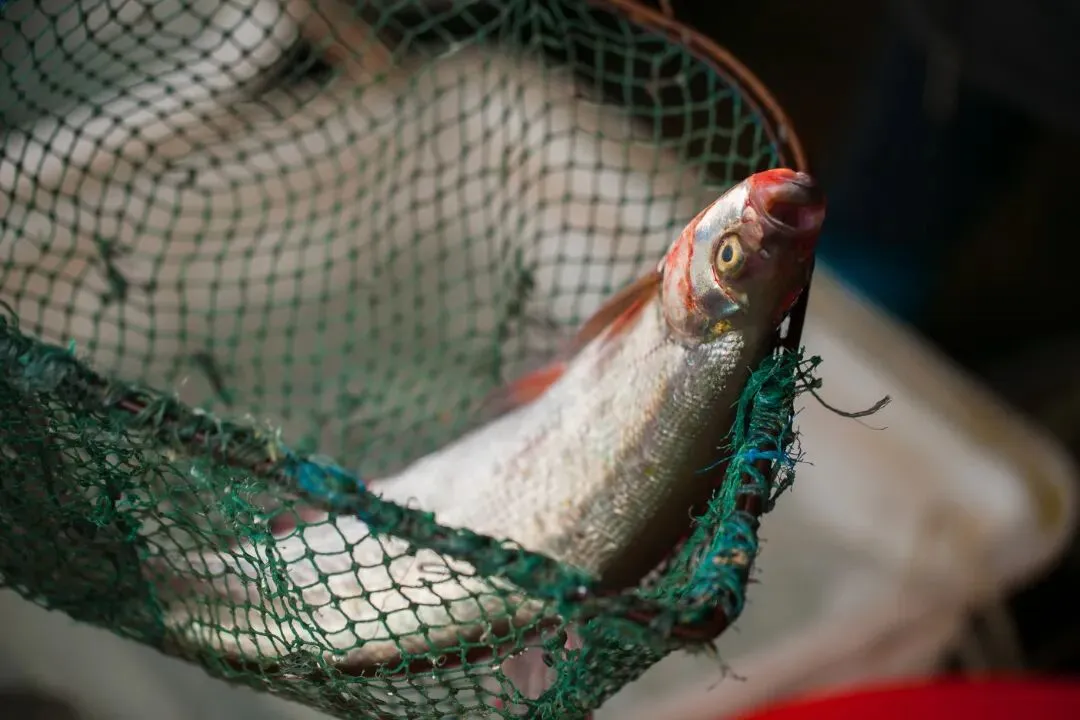 8d92b74776abfd56ce8bbea6c3dbba5b-sz_95011