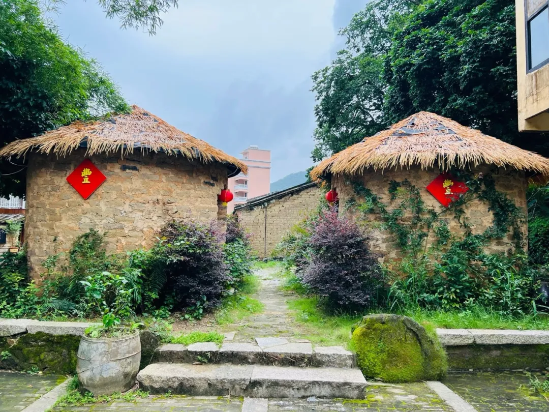 8d9486fe4196c27dfd5484ecf7ea091f-sz_2157683 8d9486fe4196c27dfd5484ecf7ea091f-sz_2157683