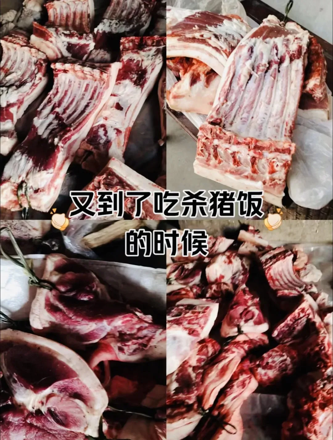 8db48b8ec35caa516b27233fe823b64e-sz_489047