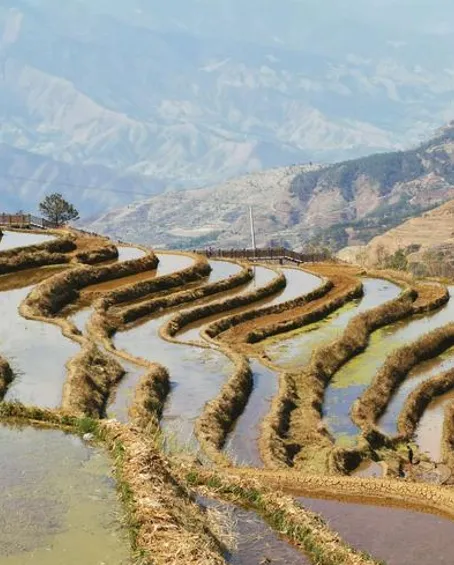 8dc1bc35c0262feaad6e620442245c55-sz_483867