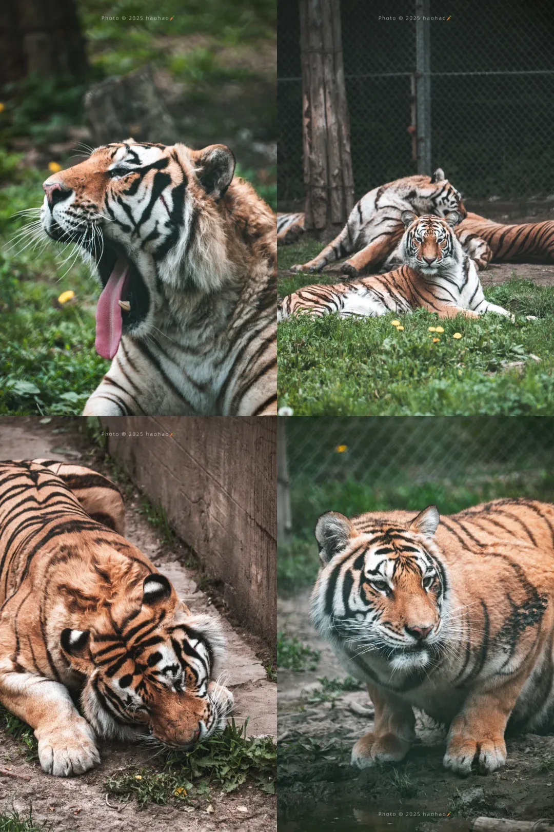 8dd3ded502e5c4c8def5076d3c01501a-sz_3044459