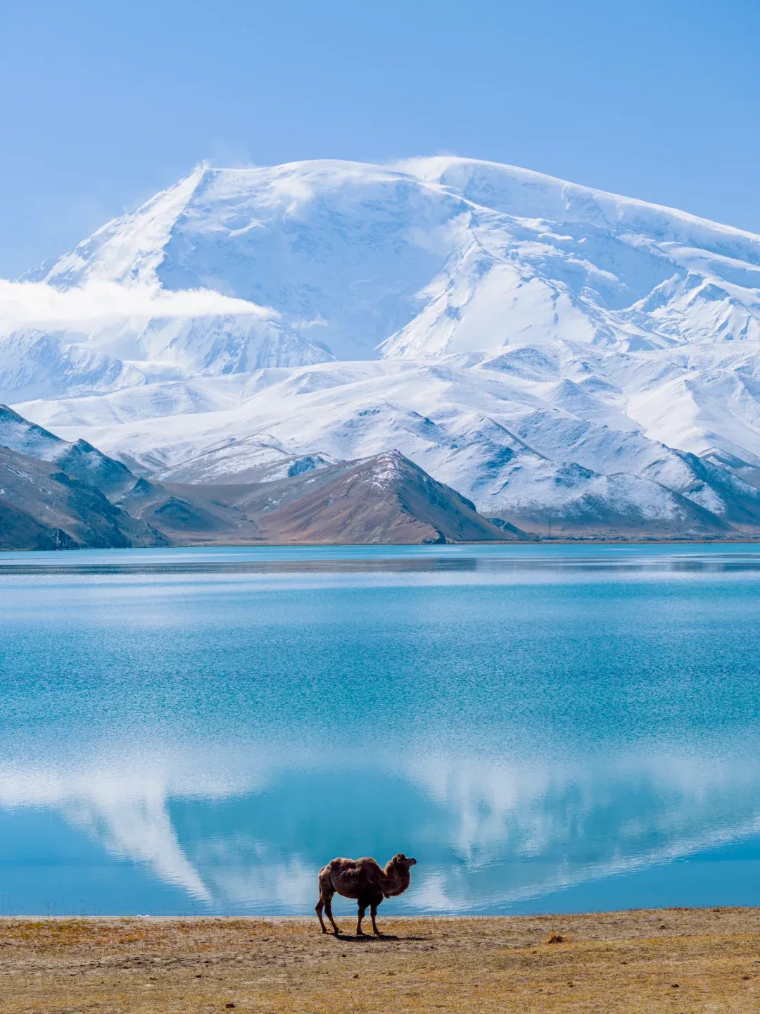 8dec80c4d130eae6b0f7cad1664f7f45-sz_2569032 8dec80c4d130eae6b0f7cad1664f7f45-sz_2569032