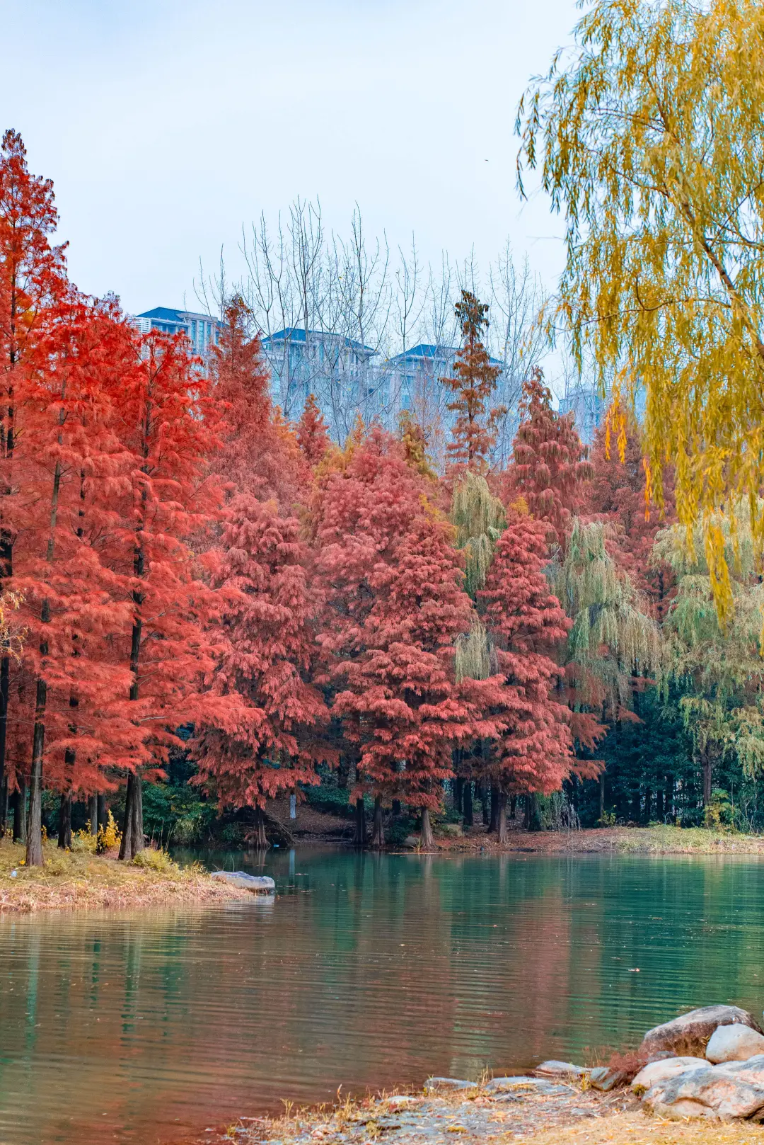 【江阴年货节送豪礼●299元纯玩赠七大年货礼包】宿当地精品酒店 免费棋牌畅玩 2早4正 精选景点游览 自由采购年货 品质三日游