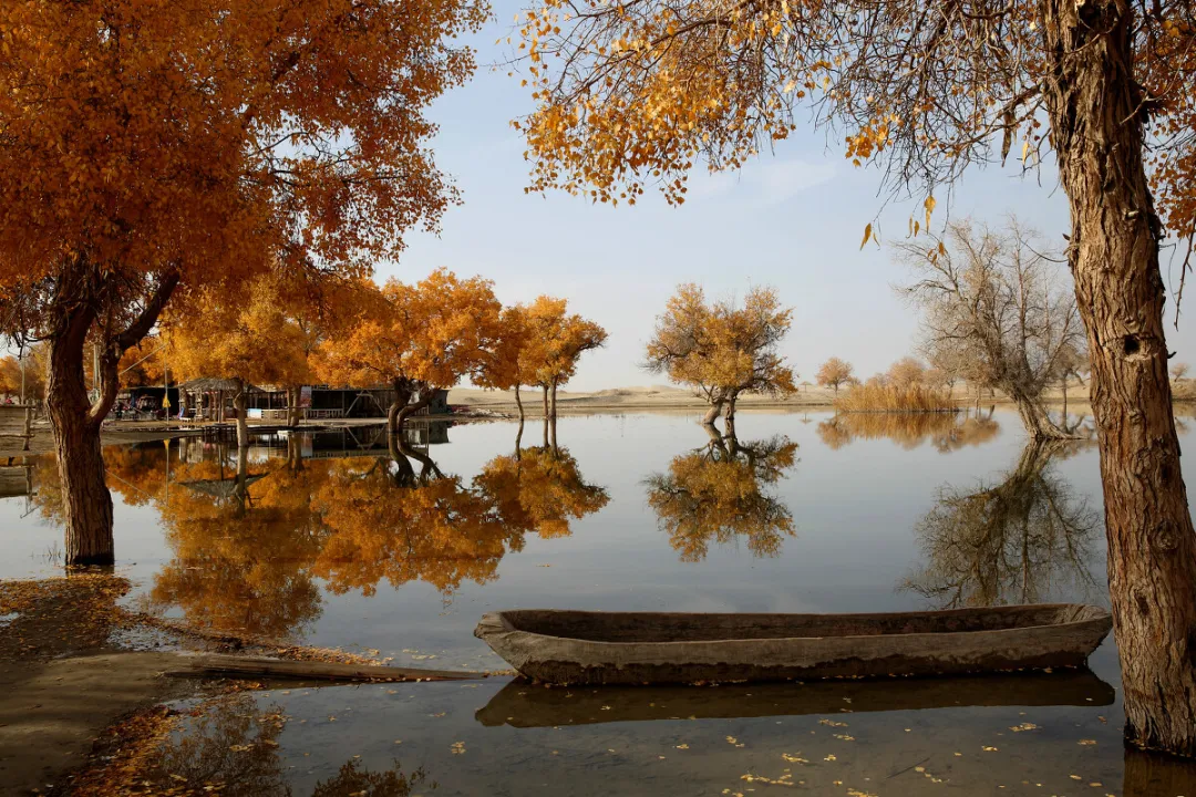 8e270a9a225240ca04cbf32155e98aa6-sz_559008