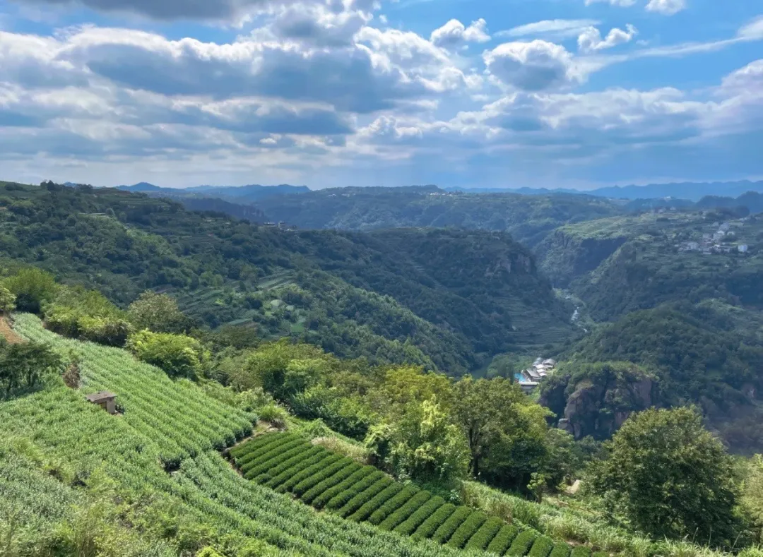 8e39f712cd84d21d52c7cb1cf336cd63-sz_370061 8e39f712cd84d21d52c7cb1cf336cd63-sz_370061