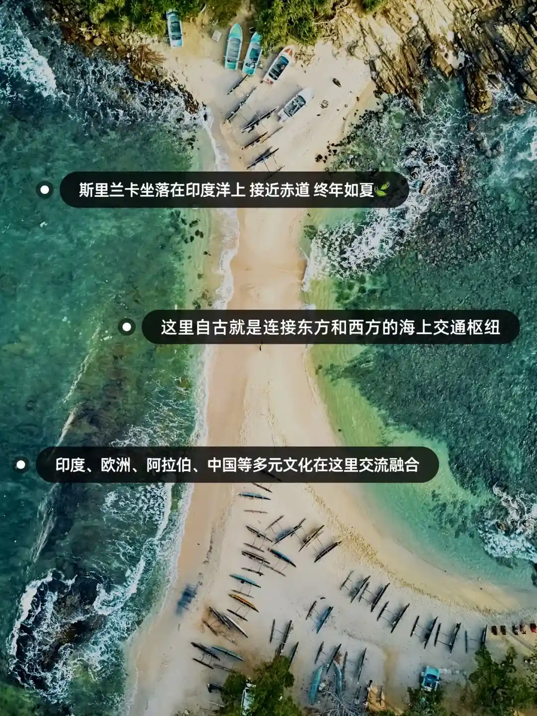 8e4f3519bae5ea8dd537167dc7c1b896