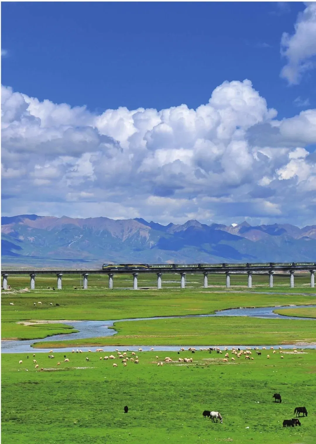 8e9005480d97bbb1cc746fc4e1e947ba-sz_311386