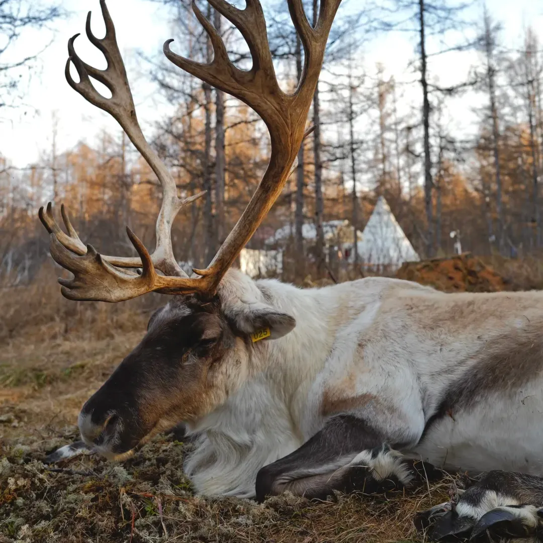 8ea6902bb69113d80392fdc0b9e29d0e-sz_2396326