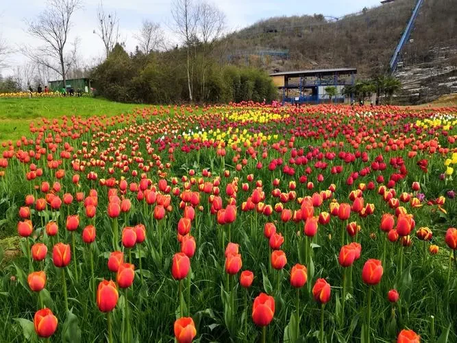 8ecc4910e0c317f81f0d54eb46a957b2-sz_101068 8ecc4910e0c317f81f0d54eb46a957b2-sz_101068