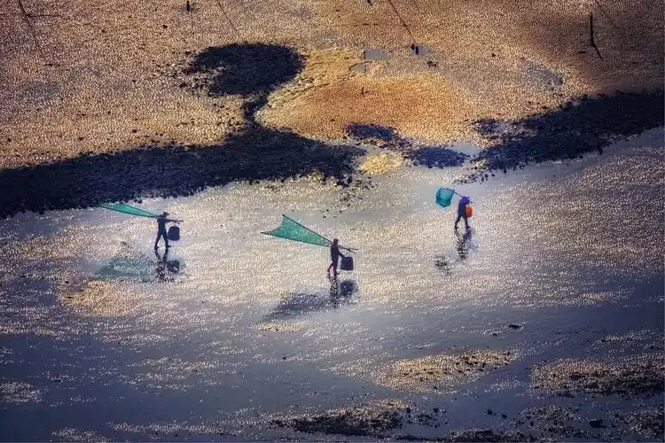 8ed6ec2f6b41cbbb24e5bdcacca8a040-sz_173319