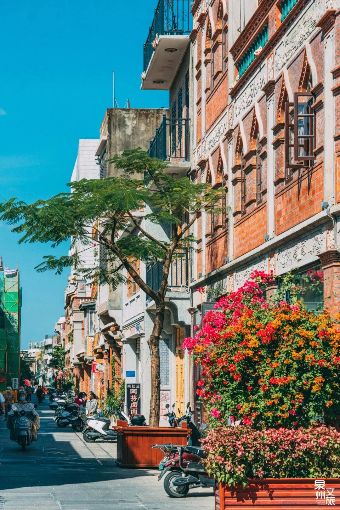 8ef3a96d4518137e237b4dc0d9531db5-sz_440061