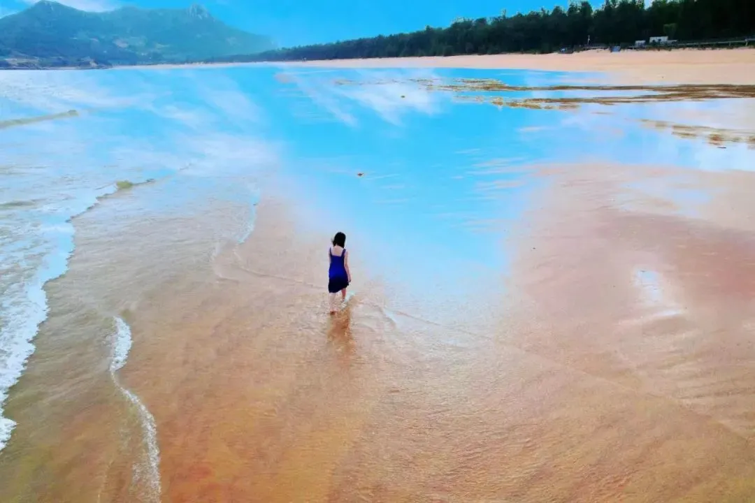 8f0605a8ebfb7094d735799d27223068-sz_82425-1