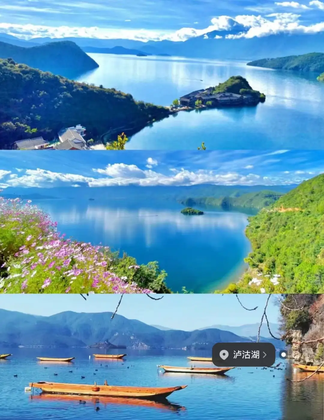 8f2bdc3cc62c8305f389d3ce076043ed-sz_231795 8f2bdc3cc62c8305f389d3ce076043ed-sz_231795