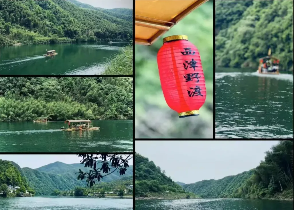 8f4b3746c8569d72dfd41dbaaac7c4b1-sz_1110559