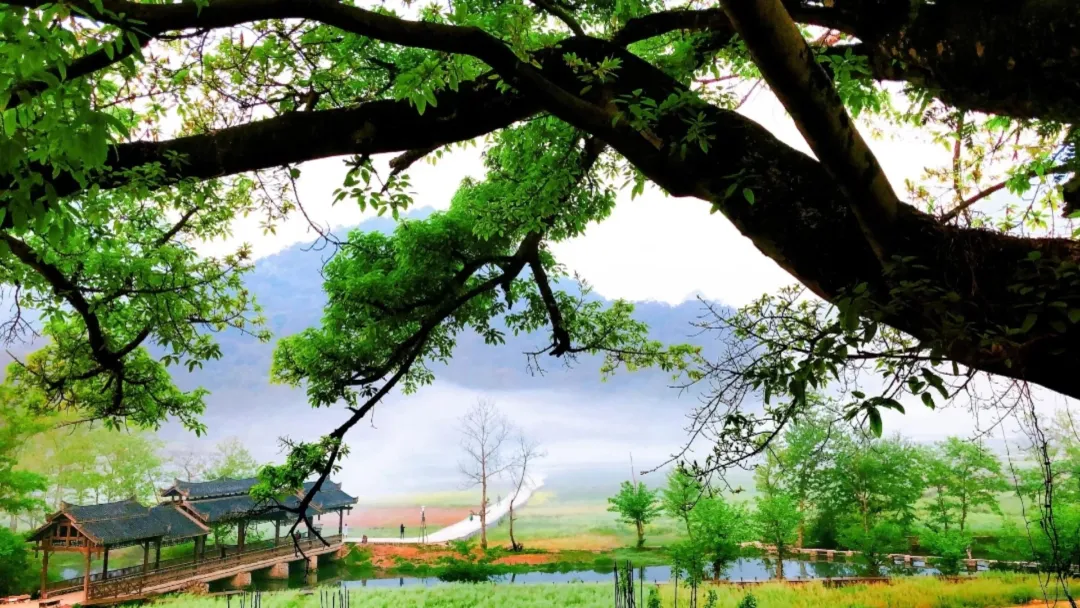 8f5993378aa80511055fa24c3b374488-sz_629458 8f5993378aa80511055fa24c3b374488-sz_629458