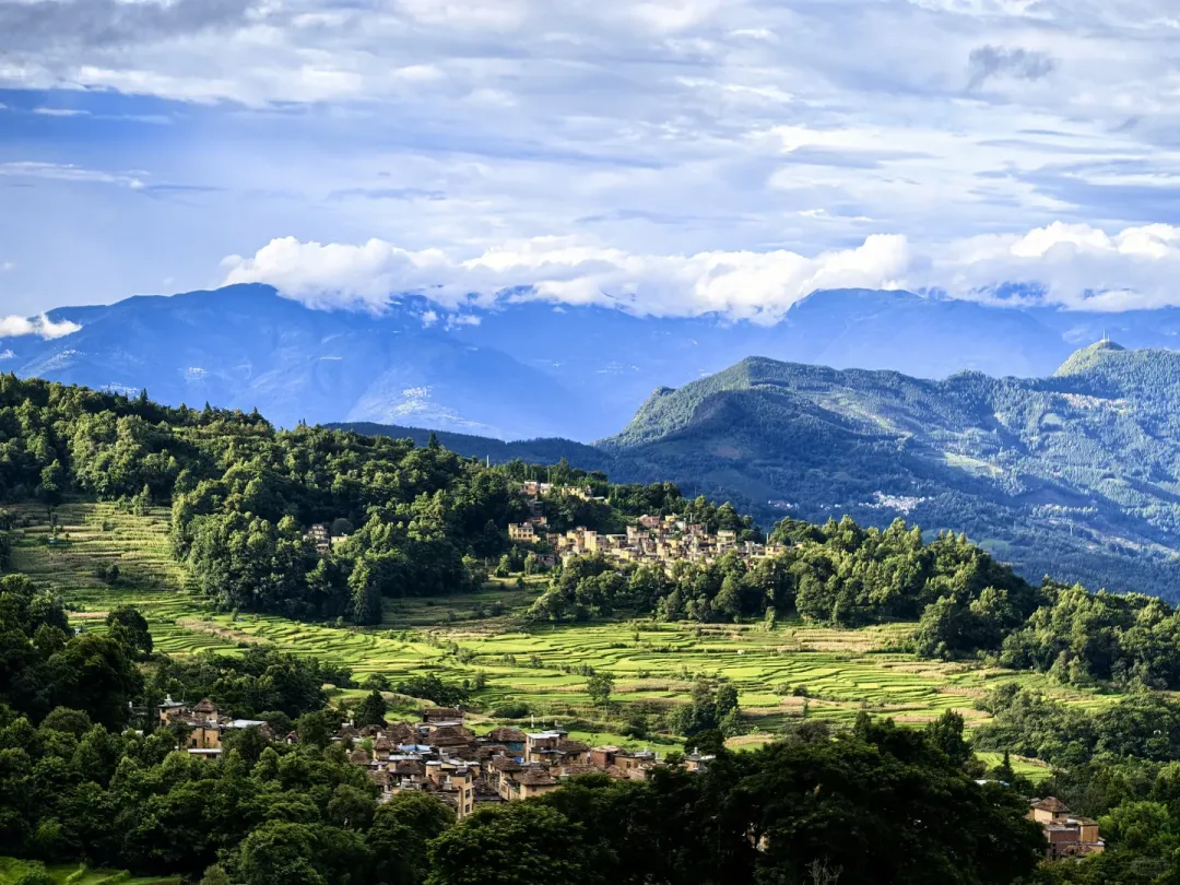 8f5f74367404eb50b0a2033732208862-sz_3086545