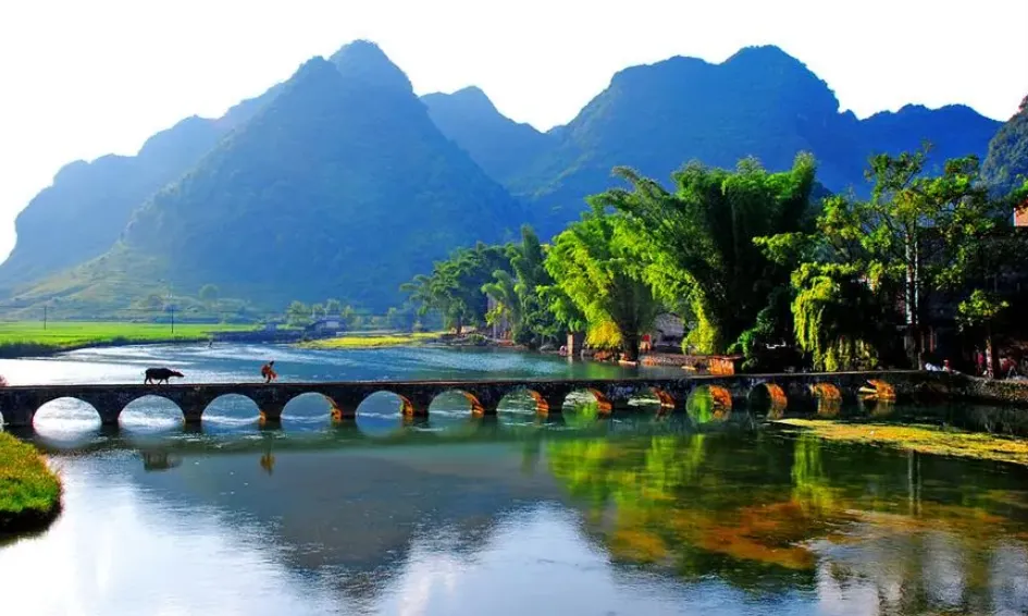 8f79e2d8c9a9089caa30cbb549ce1c86-sz_752963