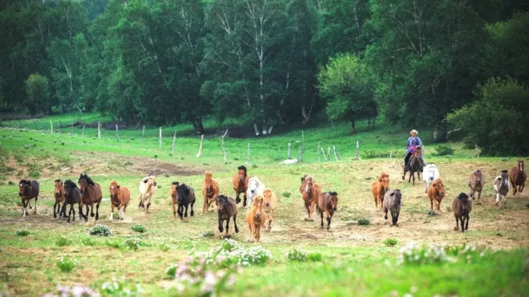 8f7da26362a8b551bcc2d0c3185f74c4-sz_155007