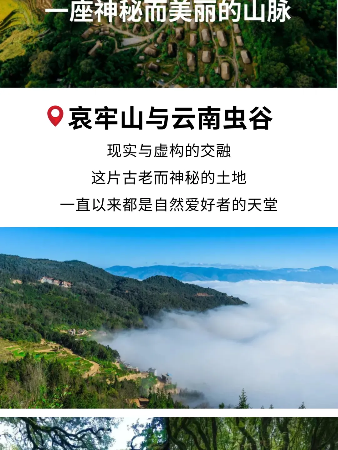 8f7e231060453255a6317b21a018e44c-sz_505352-1 8f7e231060453255a6317b21a018e44c-sz_505352-1