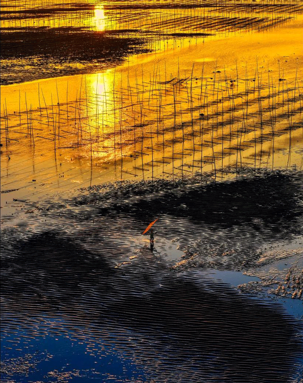 『摄影霞浦』¥1899/人 太姥山.杨家溪.九鲤溪.三沙东壁.东海1号.大京沙滩.下尾岛.东安岛.半月里双动5日游