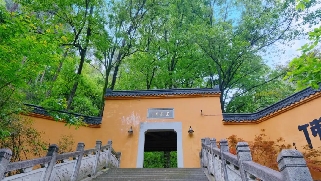 8fad1dd1888d4c3e3702f6329c9ae2b0-sz_228882