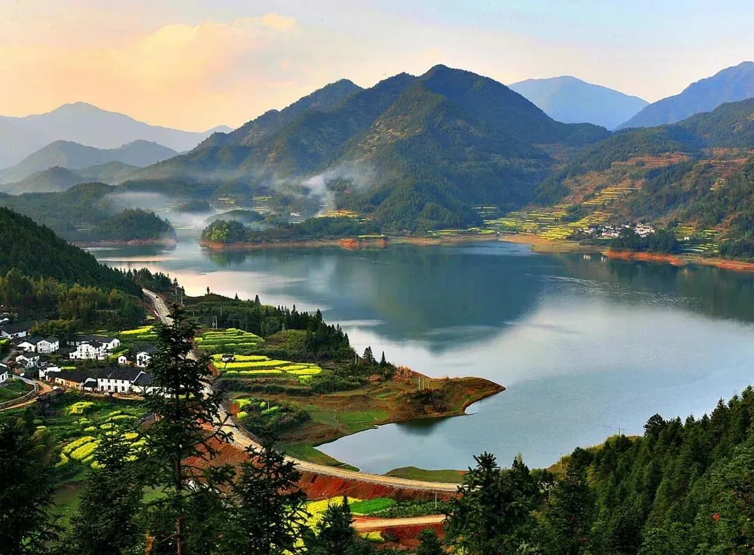 900c11ba8c0a4dc55ca3ffe642d408b5-sz_171686 900c11ba8c0a4dc55ca3ffe642d408b5-sz_171686