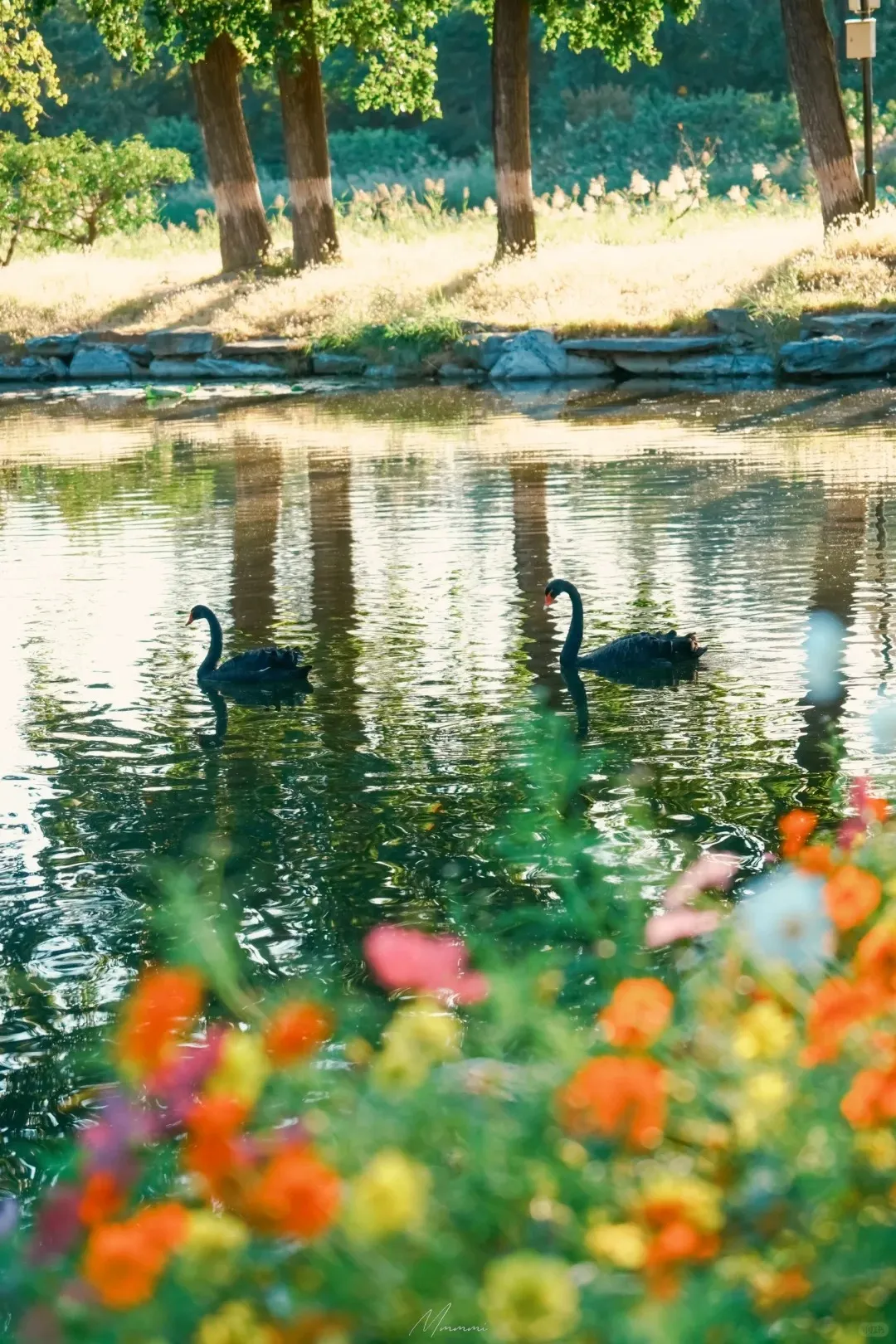 9017792202dba26db4618b0ebc185eb9-sz_525344