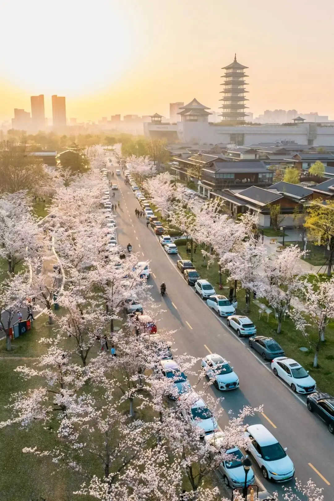 902f01b9755c5c69538b0dd7f1aa8801-sz_317637