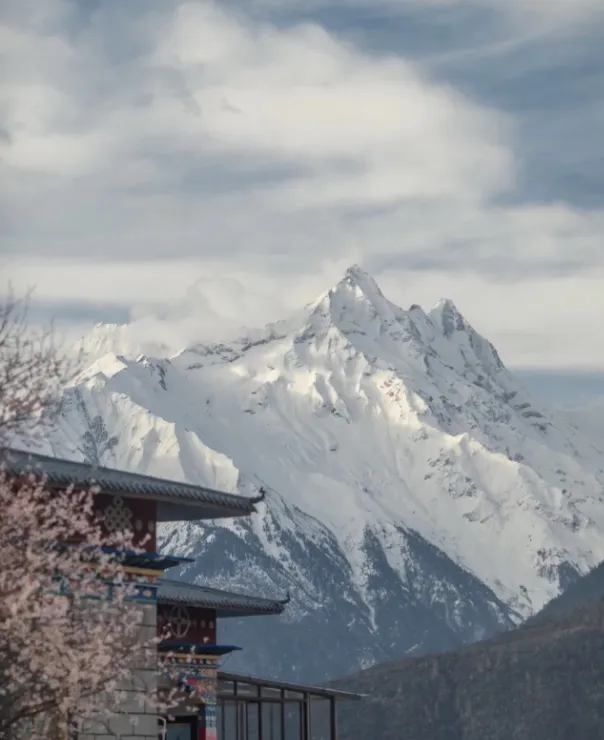 904536beda0e0d268c34e0bd473d8e6a-sz_599016