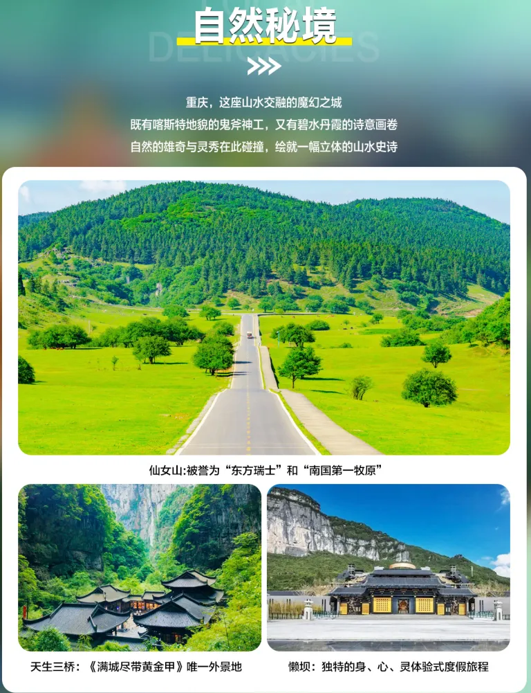 908e73c07568c0fe9e7c9b6f1c8892bd-sz_3630172