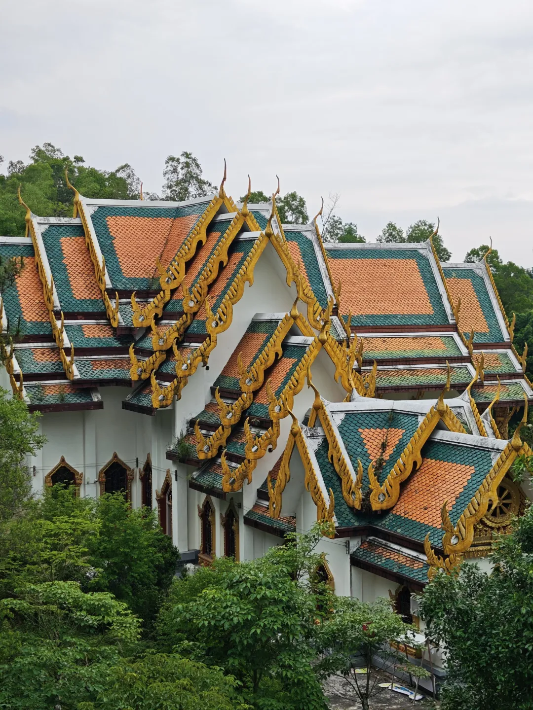 908fe19eca3cff1b6402b996c07b9db4-sz_1373836