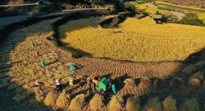 909ebf9042849e4fe949dc9cd2547a4e-sz_86162 909ebf9042849e4fe949dc9cd2547a4e-sz_86162