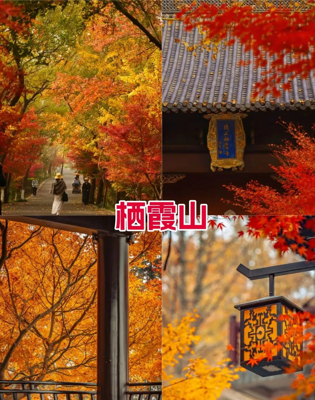 90ebbe74181410f8f7dfdf898d0b2c25-sz_1498183