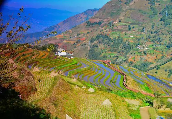 90fc129bab4688e97d5e546207d2dd84-sz_690098