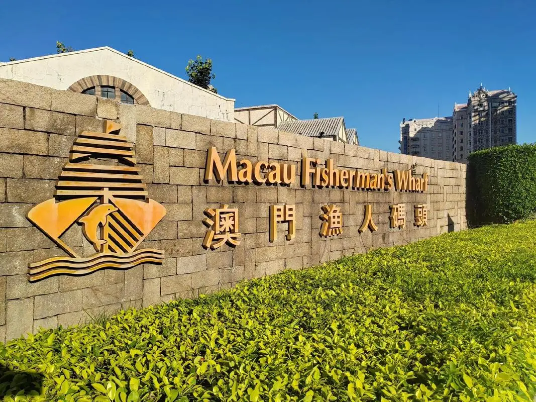 9110c669bdec696a2d2ae65feca2a062-sz_232431