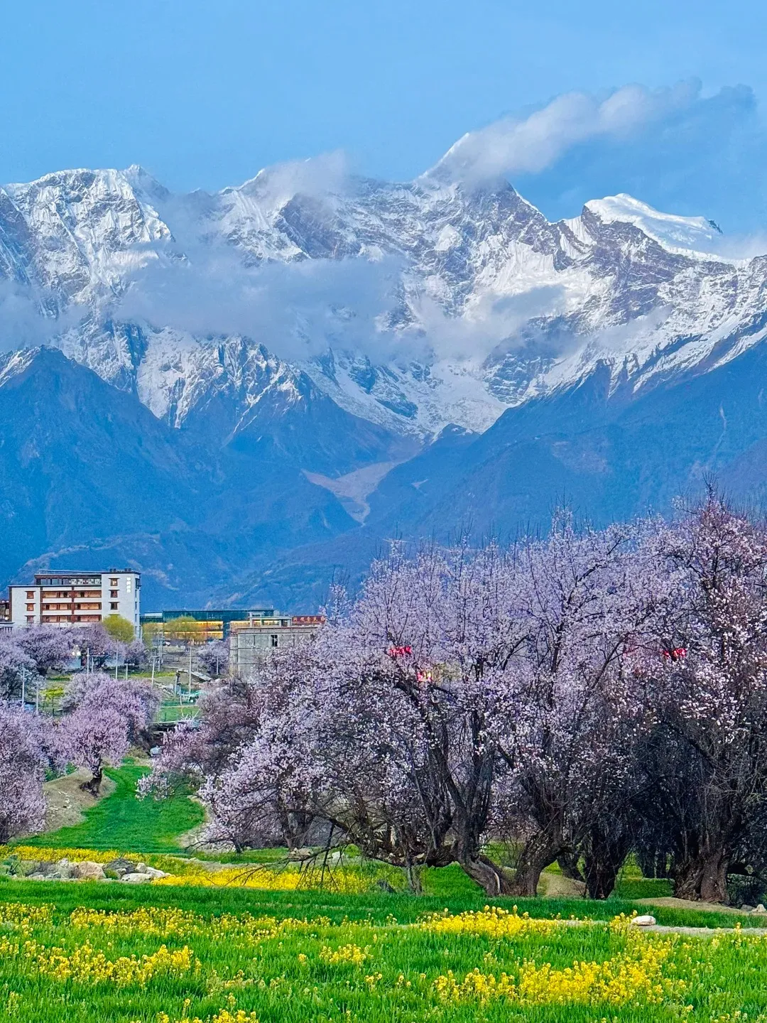 911be176275e2f81d3ed6ca51c7f4ace-sz_656511