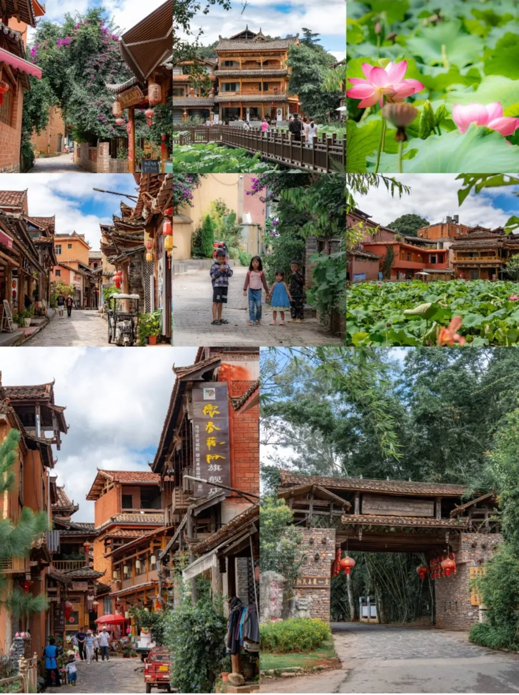 915edd8485ec67a85bd4f857e74c12c4-sz_687844