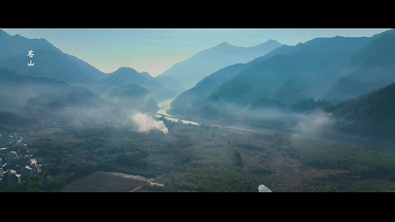 91734403e36fdb674ce4de72a6239a0e-sz_8138876