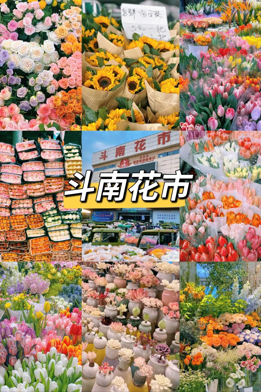 9191f8167a50b095f8898a1c9a76c764-sz_1377823