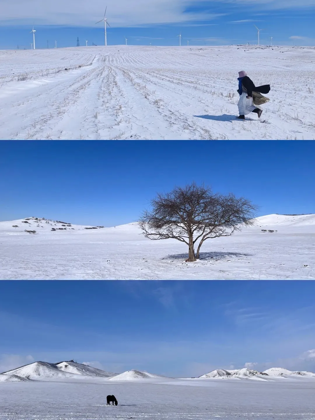 91978eba1045858611779e4a51f87158-sz_313485