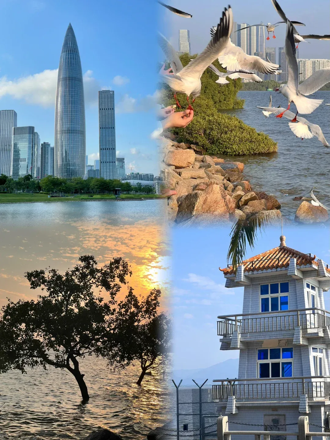 91a02f2c2e84c3bb9de7970ade570c3c-sz_2422518 91a02f2c2e84c3bb9de7970ade570c3c-sz_2422518