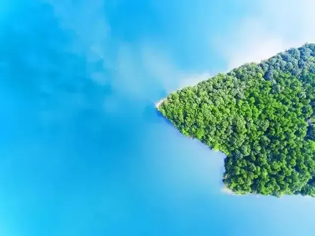 91b66052b699afc1627fdb28cc8bd7d4-sz_364081