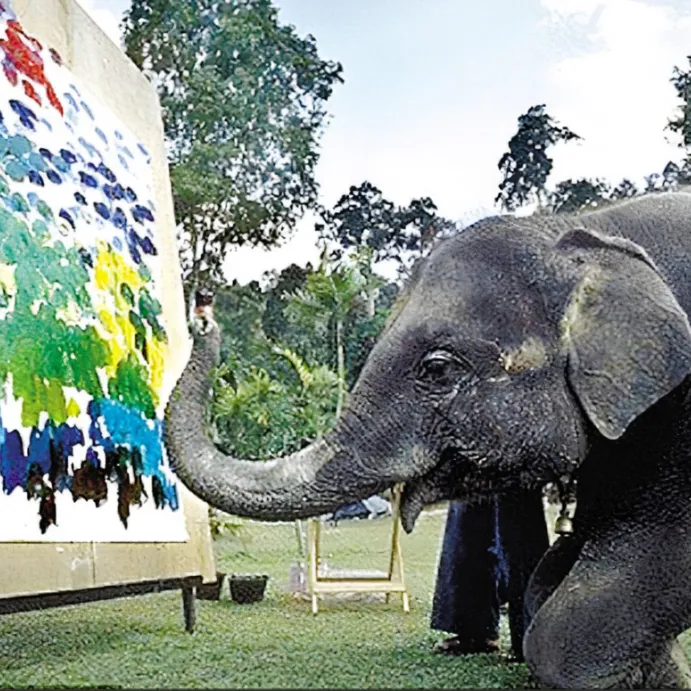 91cf9dd276d105273b4ee98c79ac96d7-sz_2507402-1 91cf9dd276d105273b4ee98c79ac96d7-sz_2507402-1