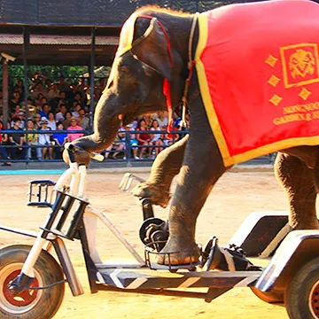 91da2f3bbc9da5d3a9afca04e1933834-sz_130217-1 91da2f3bbc9da5d3a9afca04e1933834-sz_130217-1