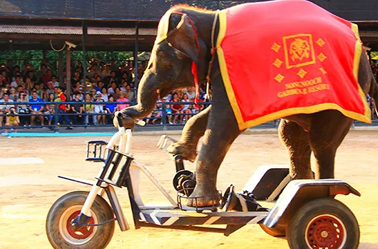 91da2f3bbc9da5d3a9afca04e1933834-sz_130217 91da2f3bbc9da5d3a9afca04e1933834-sz_130217