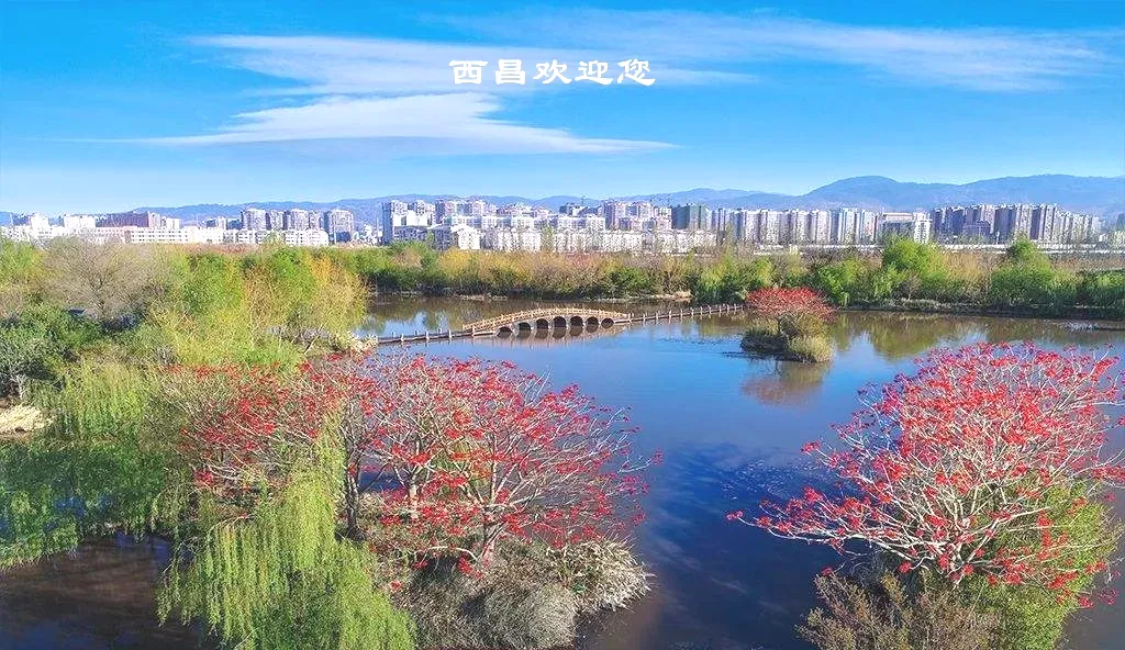 91fad1a56112f56f1fc39cd7c63f256d-sz_506734 91fad1a56112f56f1fc39cd7c63f256d-sz_506734