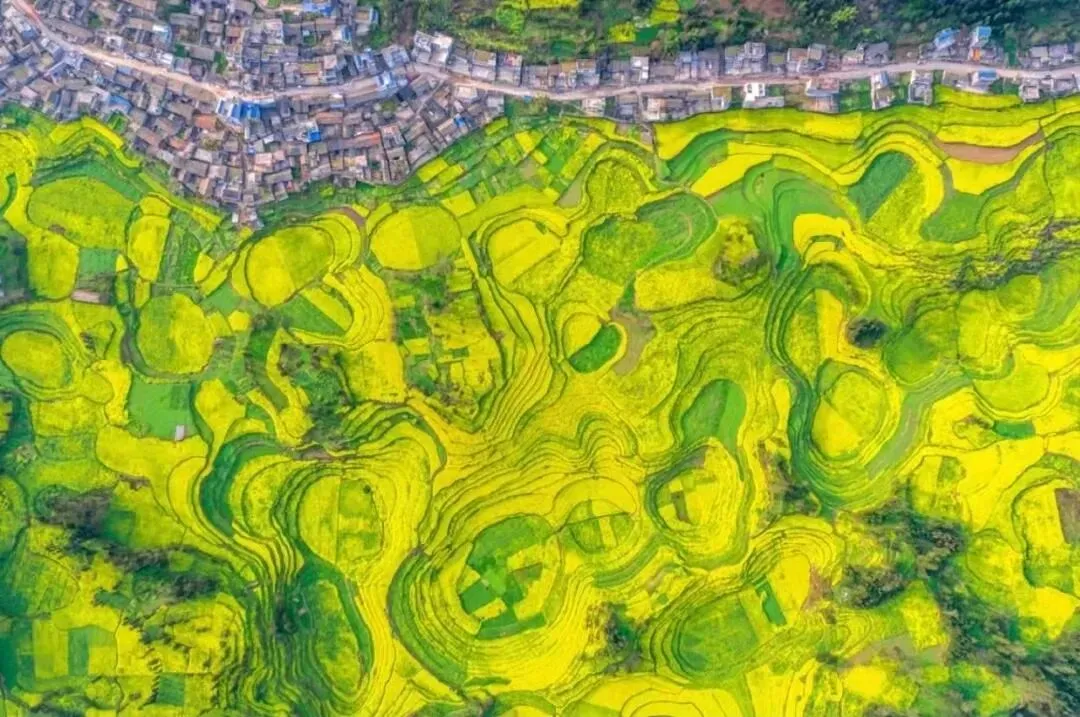 920f517a1dca31be667ee2ba52aeb4e7-sz_172389 920f517a1dca31be667ee2ba52aeb4e7-sz_172389